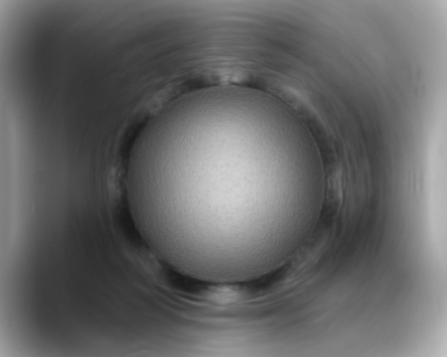 X0000088430218200706051236