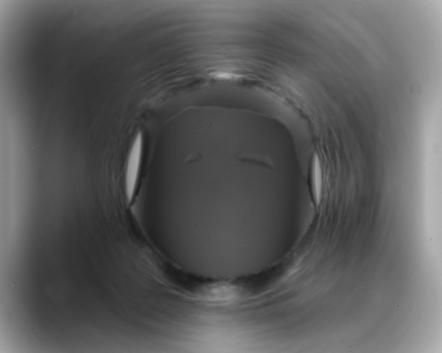 X0000088430219200706051236