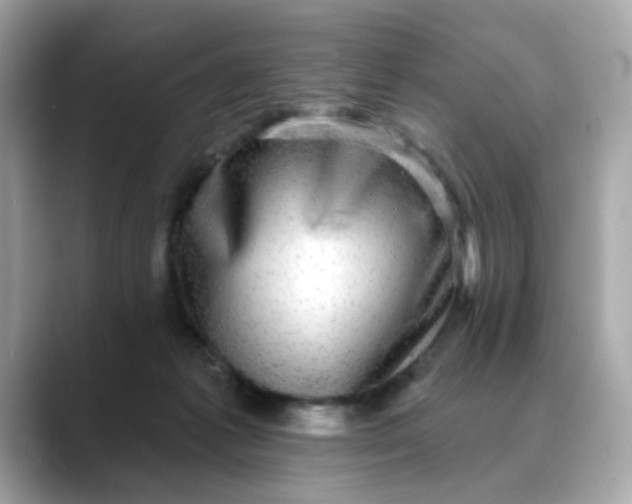 X0000088430221200706051236