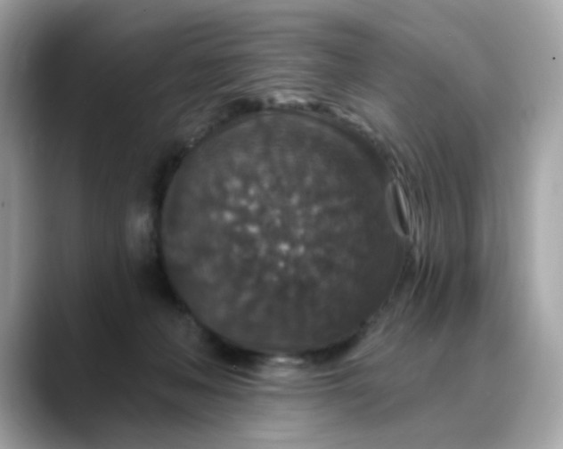 X0000088430222200706051236