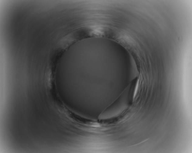 X0000088430223200706051236