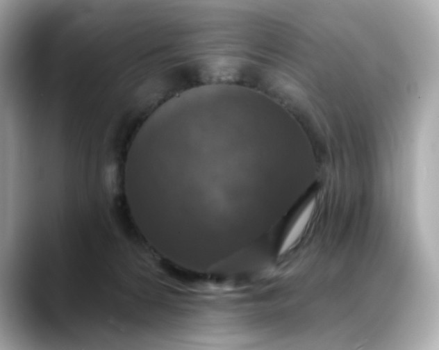 X0000088430224200706051236