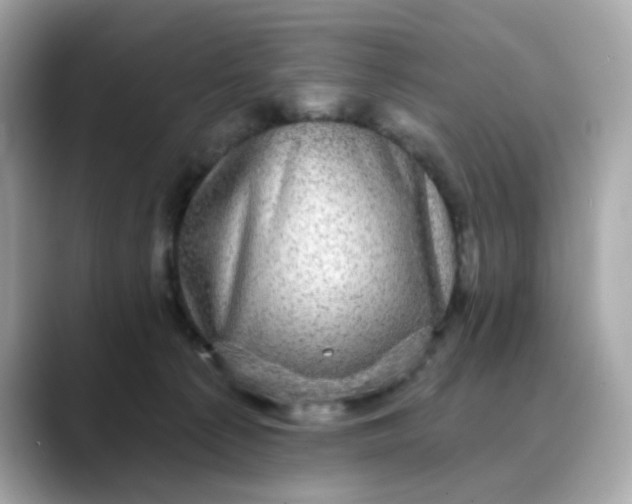 X0000088430225200706051236