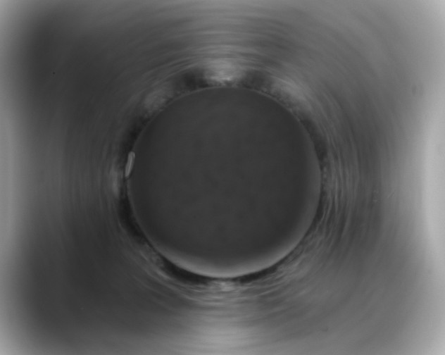 X0000088430227200706051236