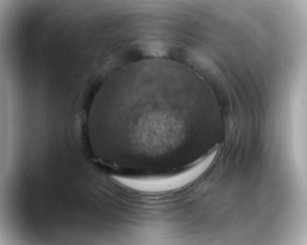 X0000088430229200706051236