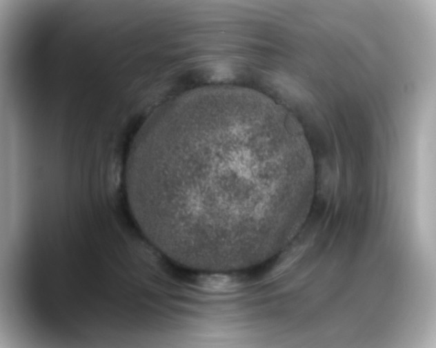 X0000088430230200706051236