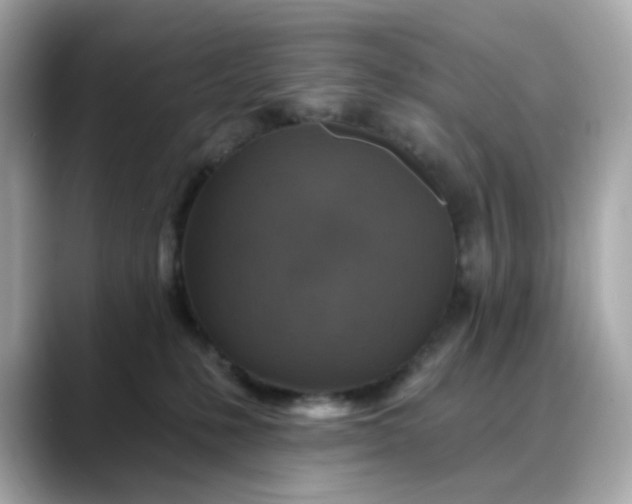 X0000088430231200706051236