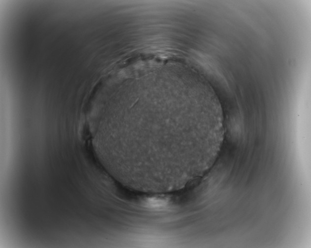 X0000088430232200706051236