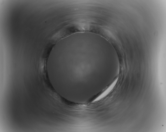 X0000088430233200706051236