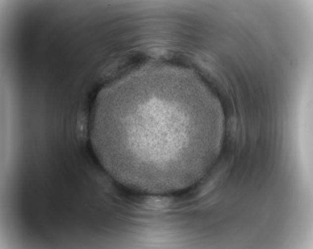 X0000088430234200706051236