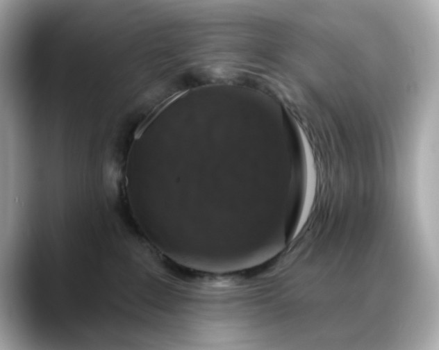 X0000088430235200706051236