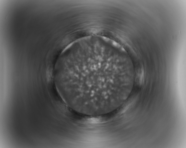 X0000088430236200706051236