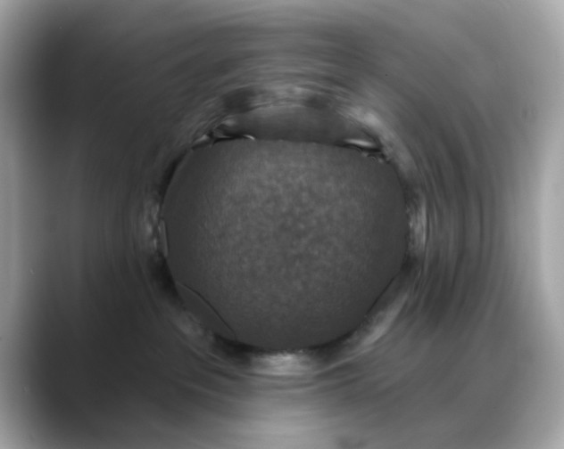 X0000088430237200706051236