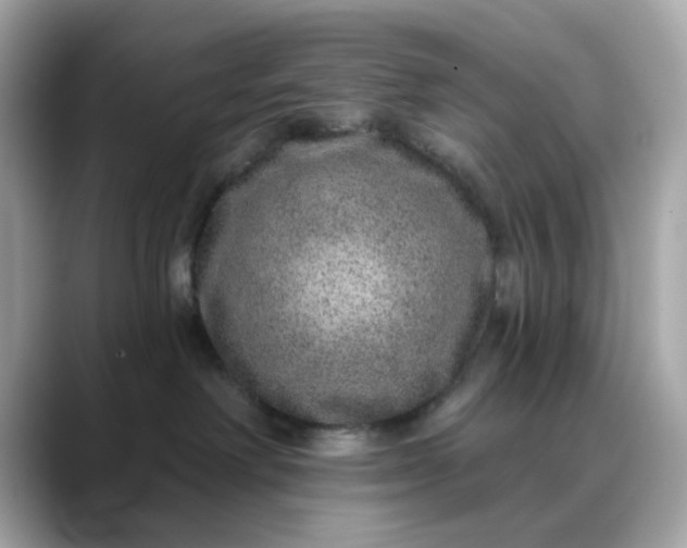 X0000088430238200706051236