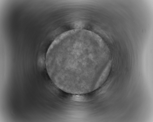 X0000088430240200706051236