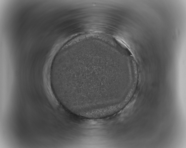 X0000088430241200706051235