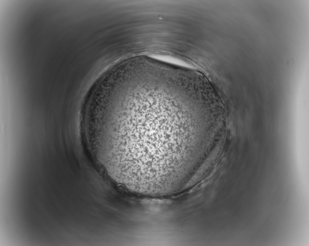 X0000088430242200706051235