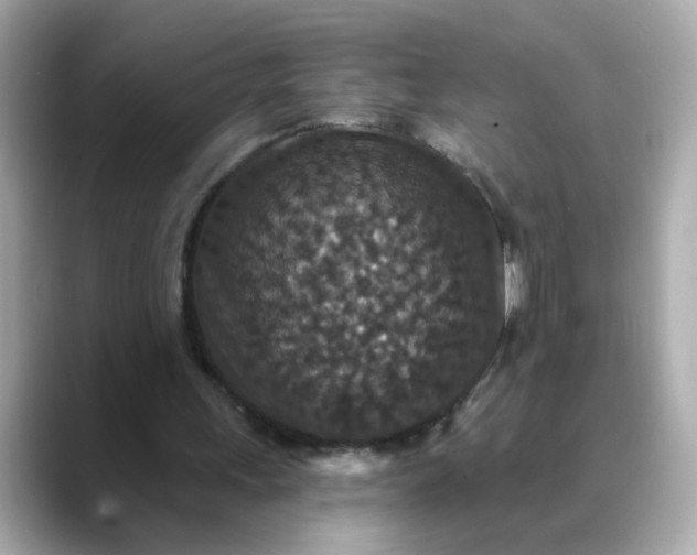 X0000088430243200706051235