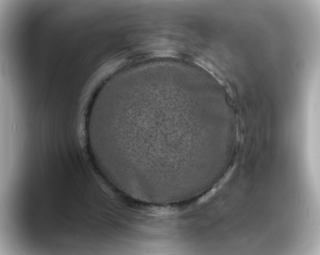 X0000088430245200706051235