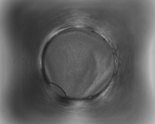 X0000088430246200706051235