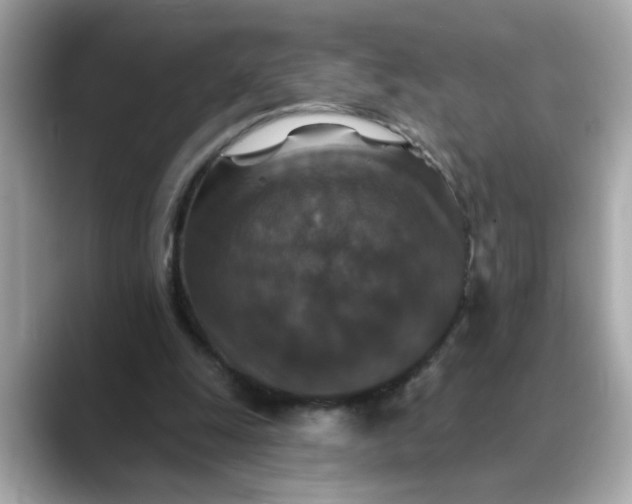 X0000088430247200706051235