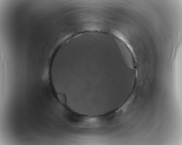 X0000088430249200706051235