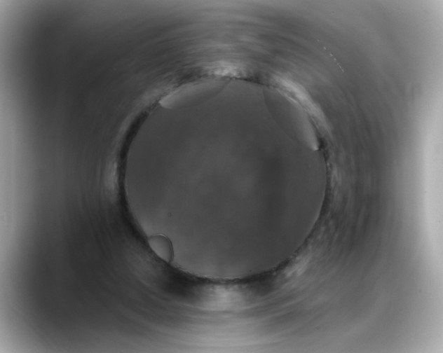 X0000088430250200706051235