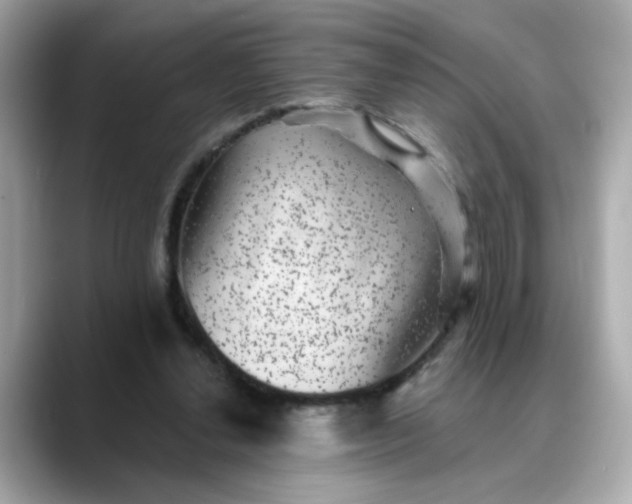 X0000088430252200706051235