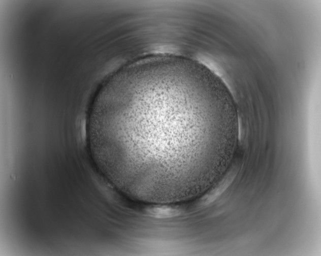 X0000088430253200706051235