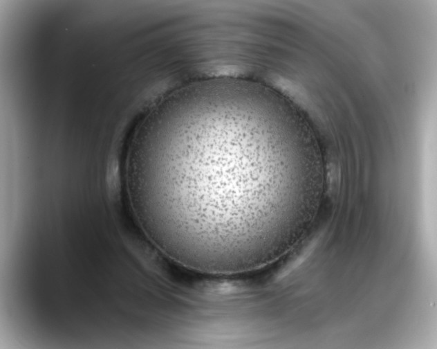 X0000088430254200706051235