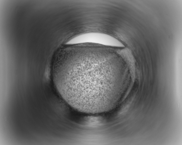 X0000088430255200706051235