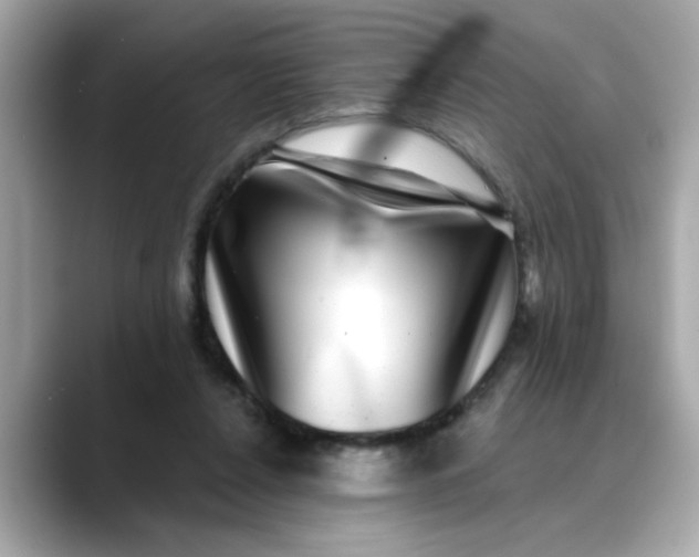 X0000088430256200706051235