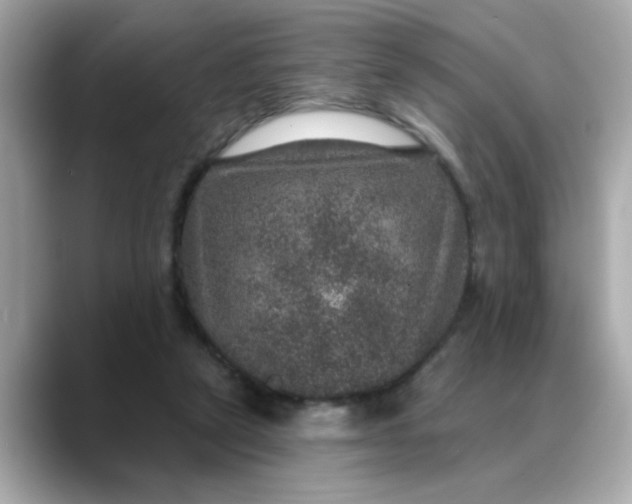 X0000088430257200706051235