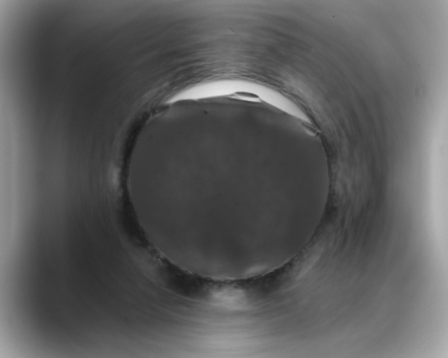 X0000088430258200706051235