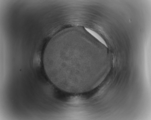 X0000088430259200706051235