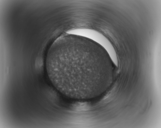 X0000088430260200706051235