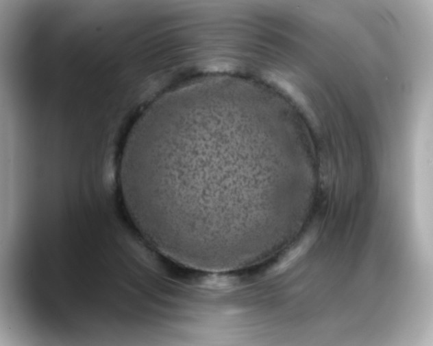 X0000088430261200706051235