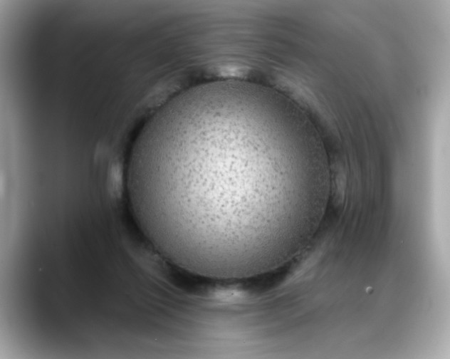 X0000088430262200706051235