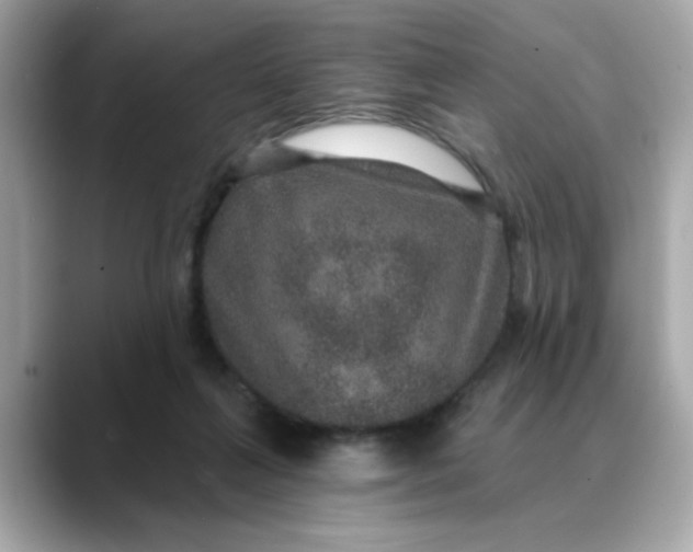 X0000088430263200706051235