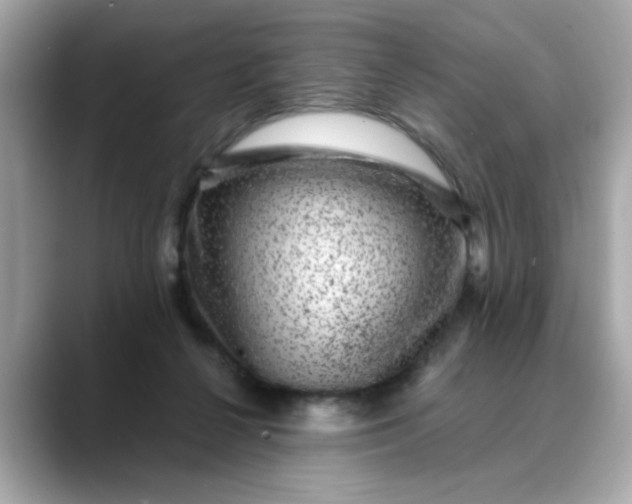 X0000088430264200706051235