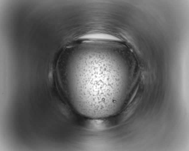 X0000088430265200706051235