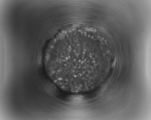 X0000088430266200706051235