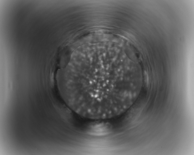 X0000088430267200706051235