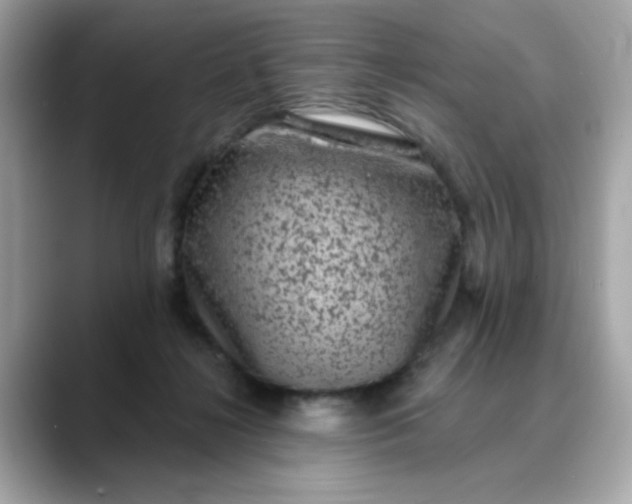 X0000088430268200706051235