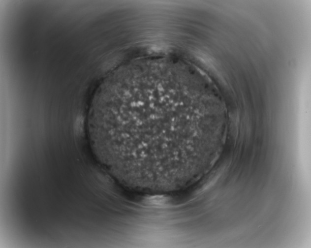 X0000088430269200706051235