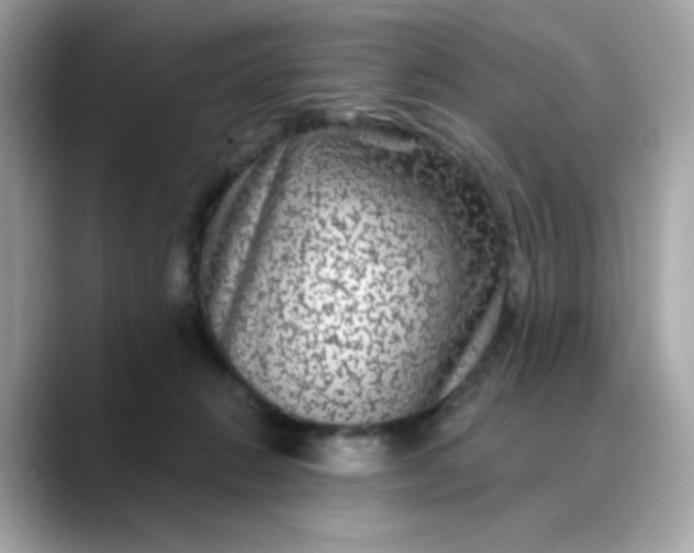 X0000088430270200706051235