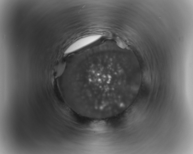 X0000088430271200706051235