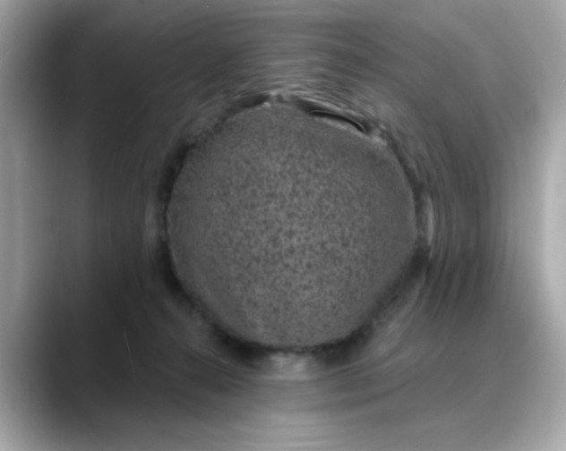 X0000088430272200706051235