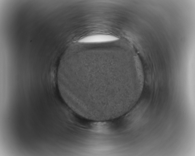 X0000088430273200706051235