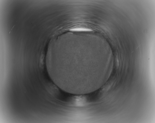 X0000088430275200706051235